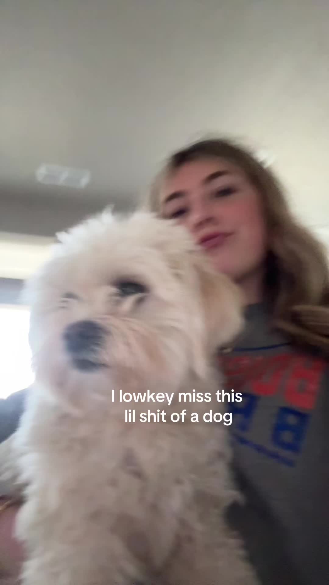 @brooke spam