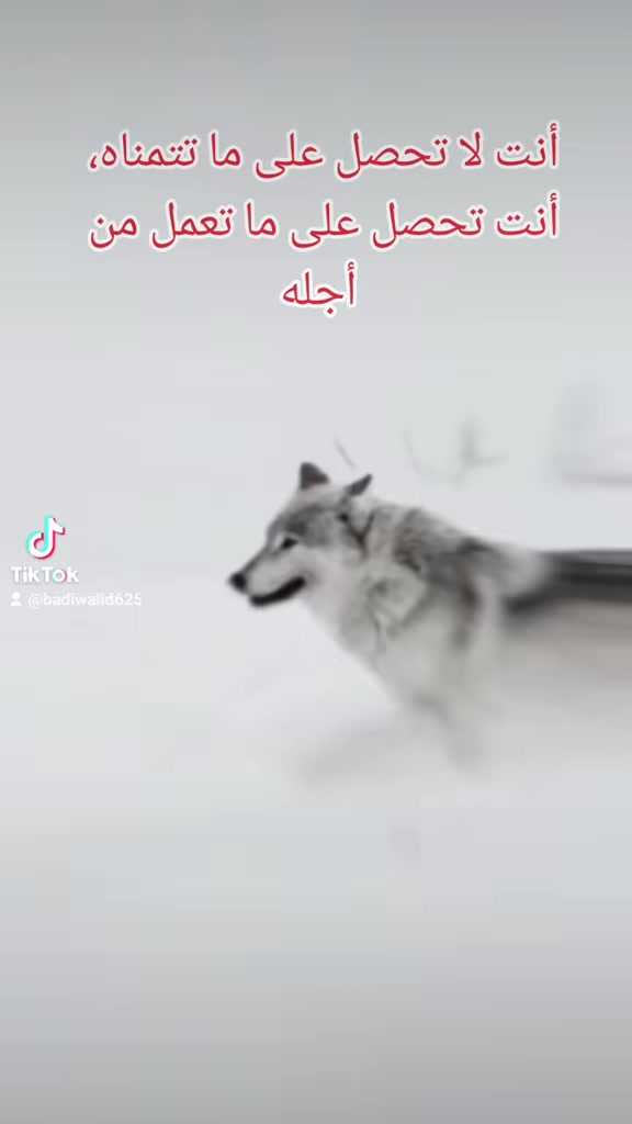 @walid Badi