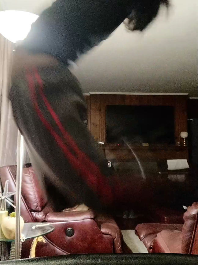 @OG Sexy boi🤤 (l like rice)