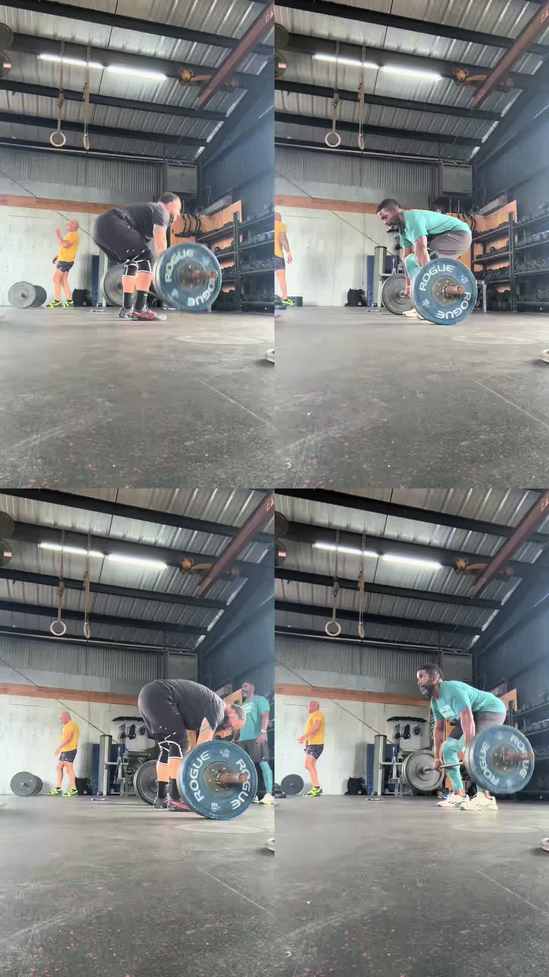 @Dewayne 🐼🐢🏋️