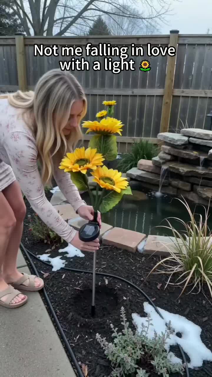 @Audrey