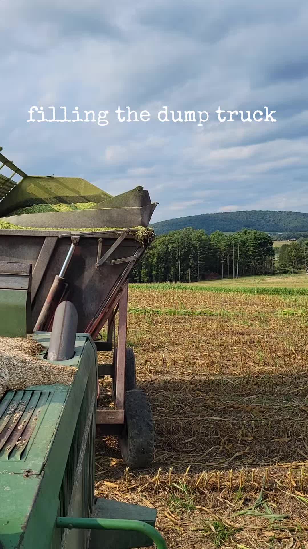 @Just Another FarmFluencer