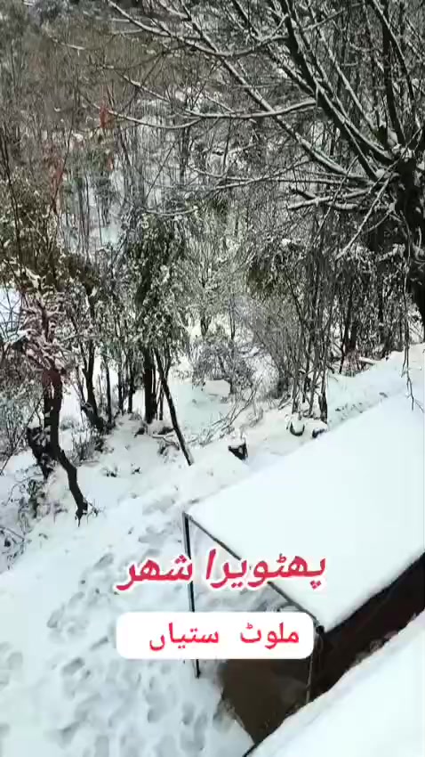 @kanwalsatti0