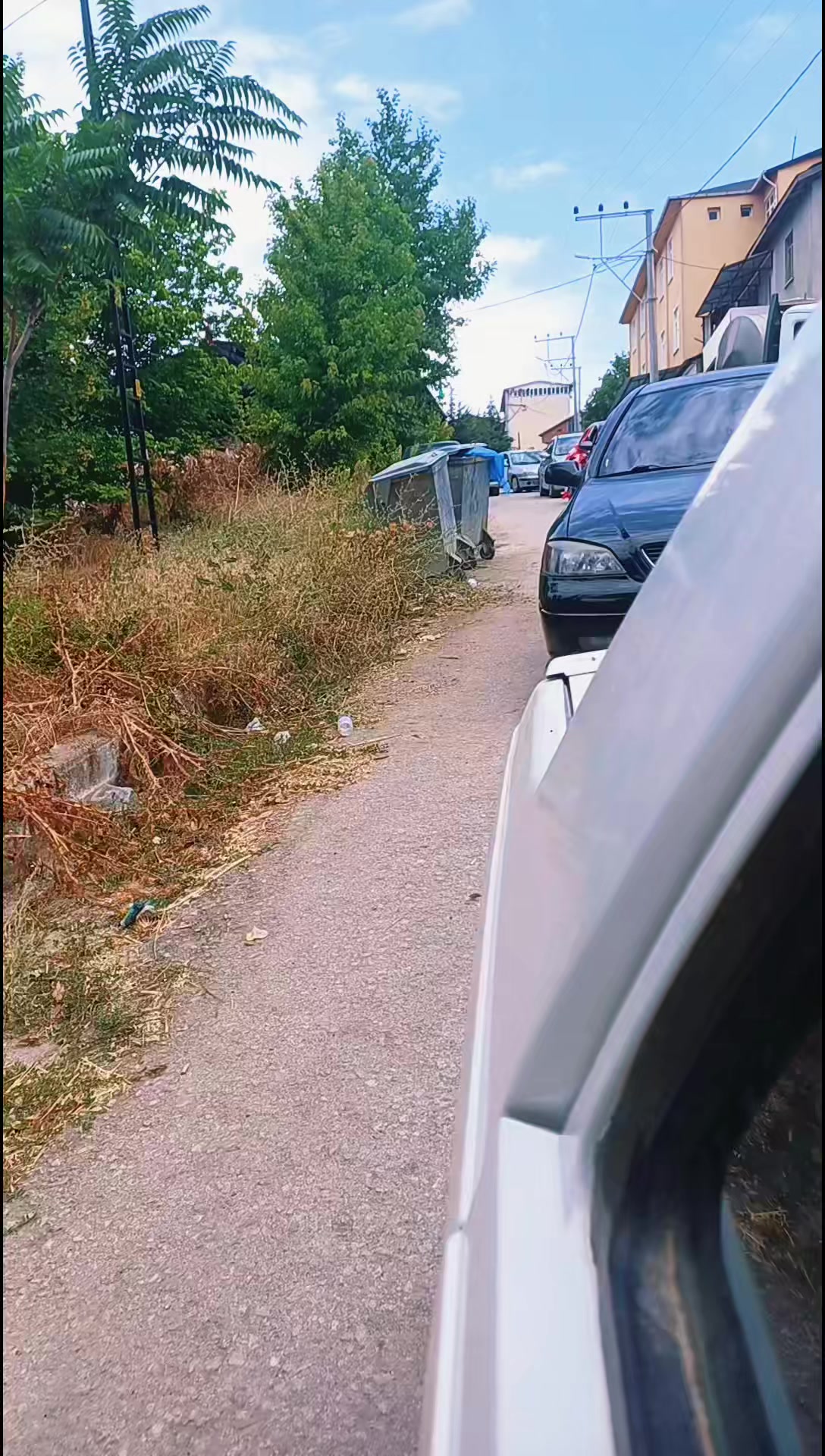 @özlem bozkurt
