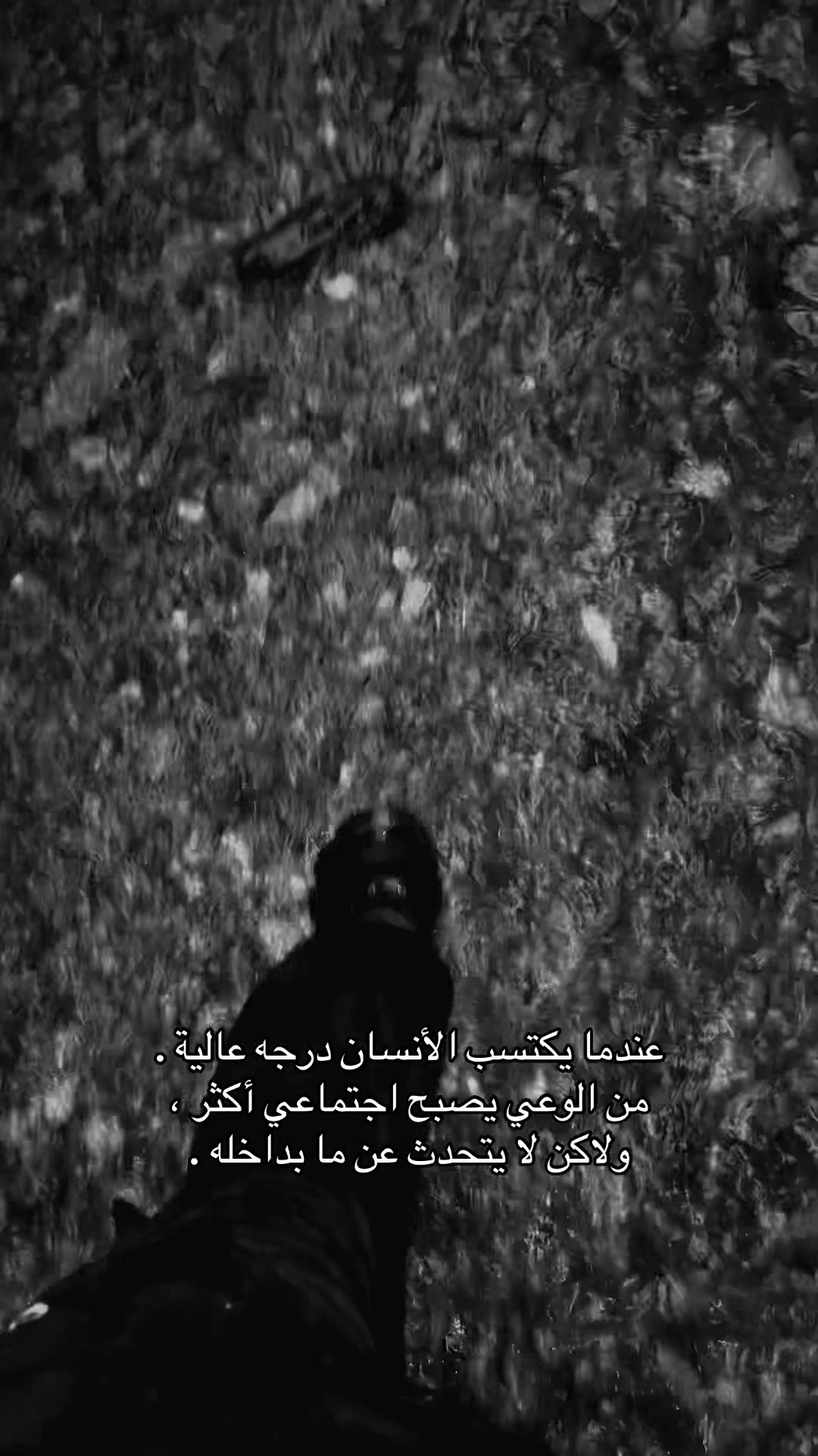 @✮