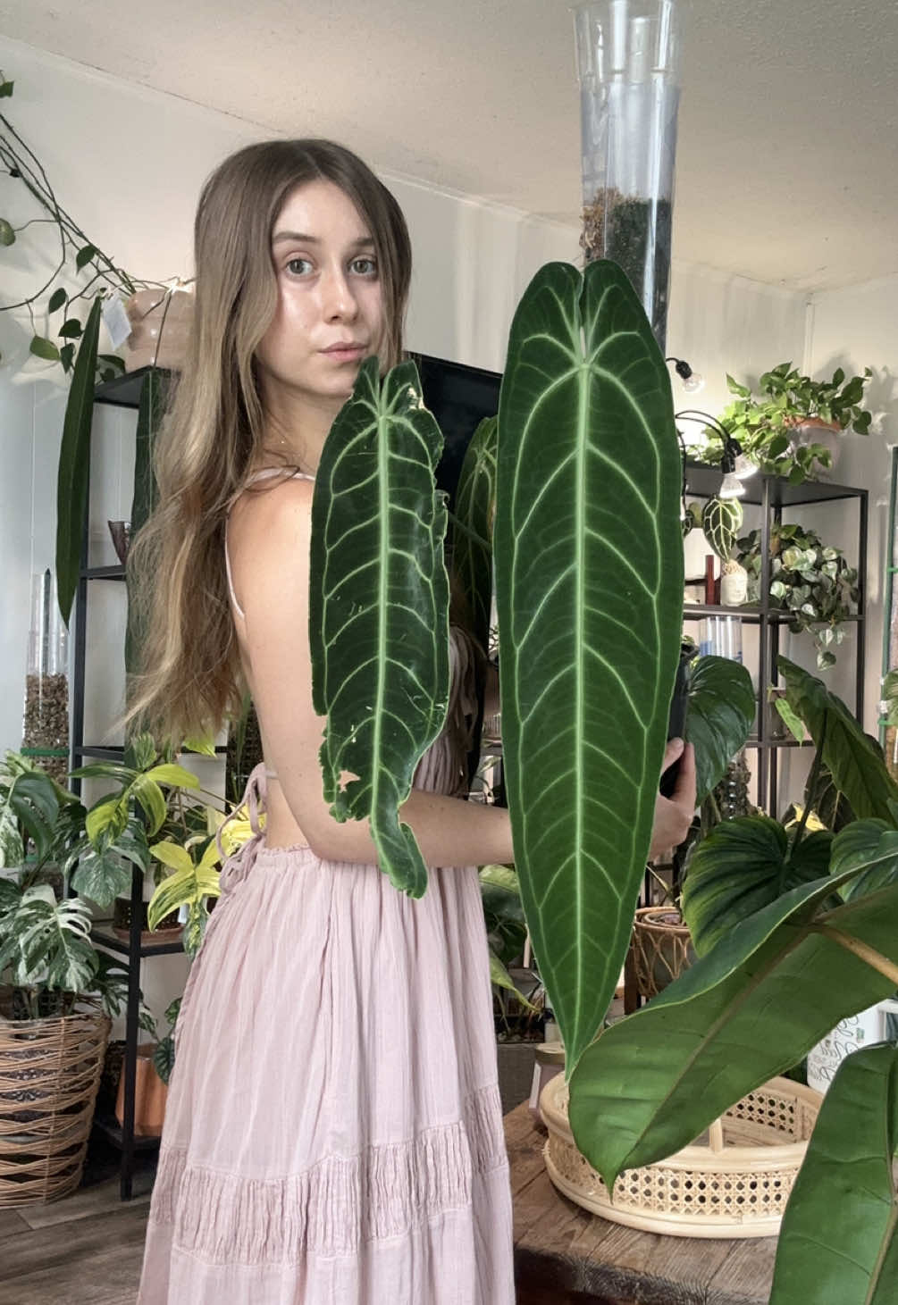 @theplantgirl_diaries
