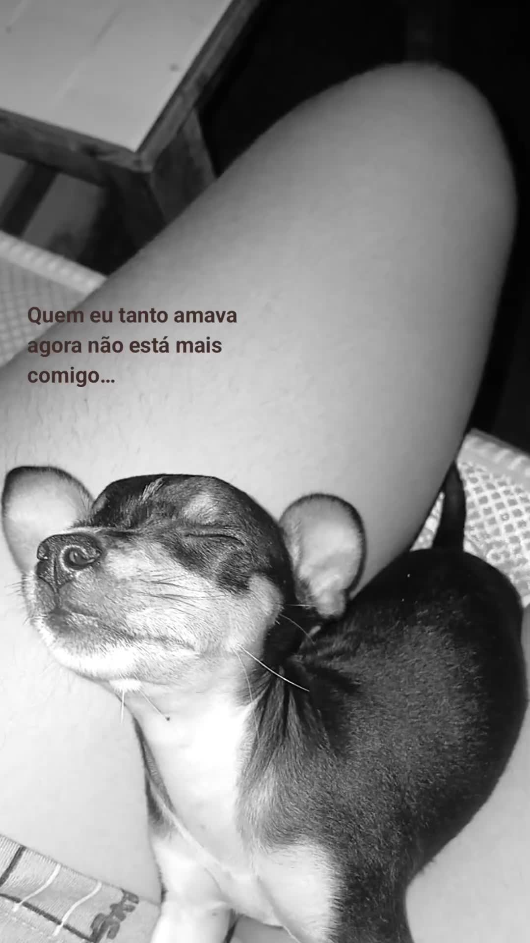 @n&atilde;o &eacute; a dany😛