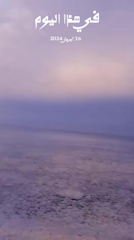 @بوب 💔