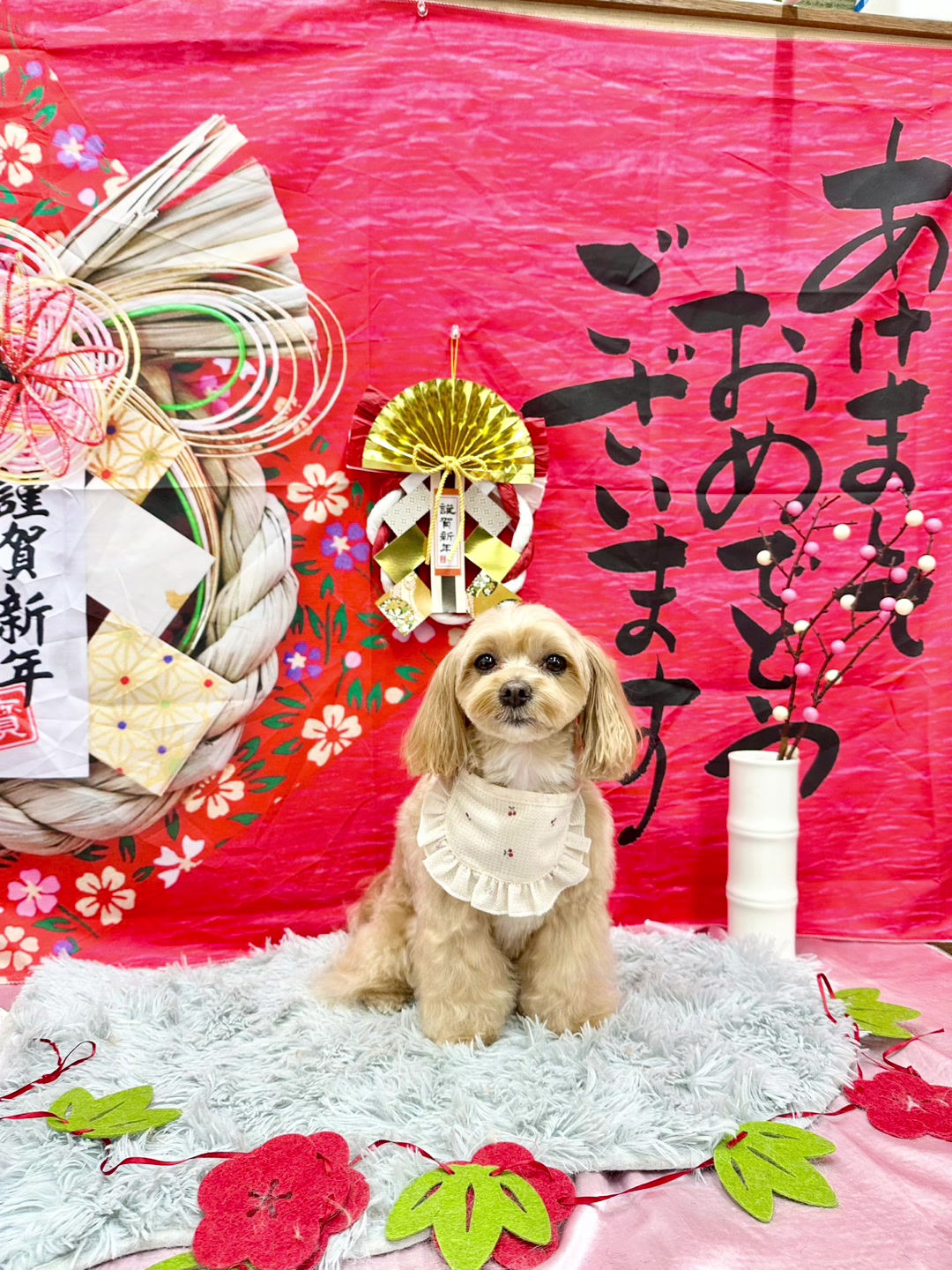 @petsalon_connect