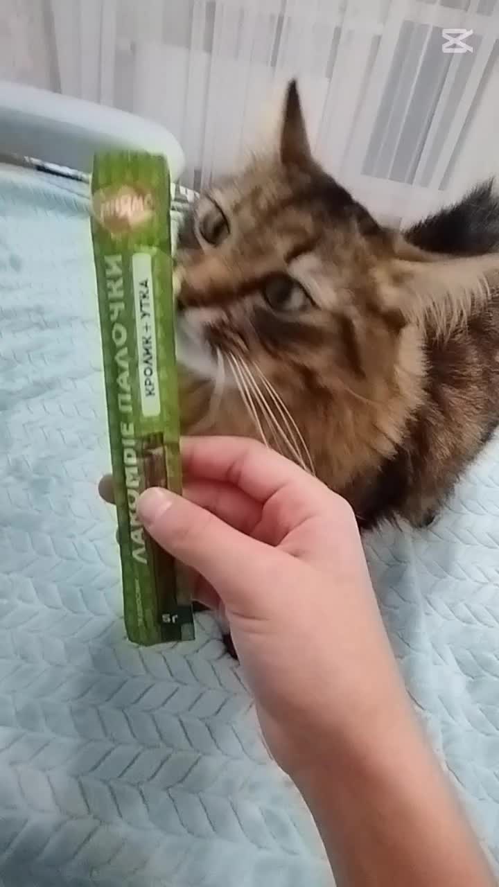 @Марсик😺💖