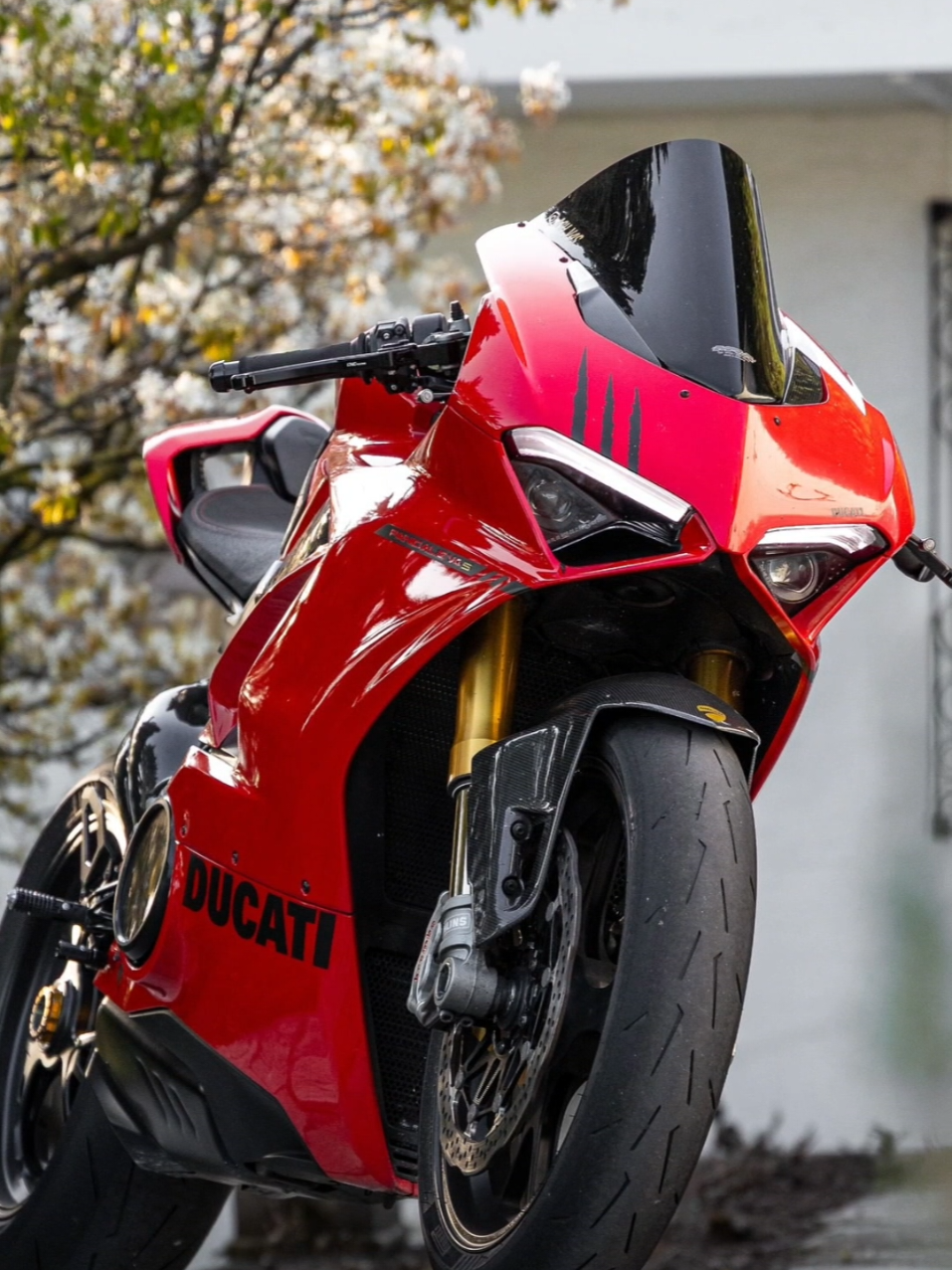 @MotoVista