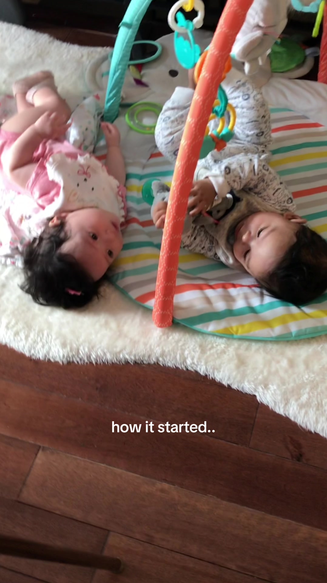 @aylan_akira