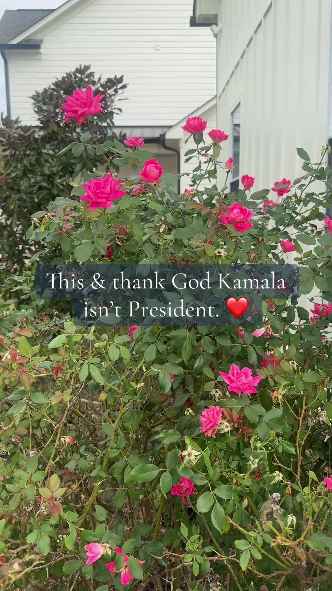 @Janeeee 🇺🇸❤️✨