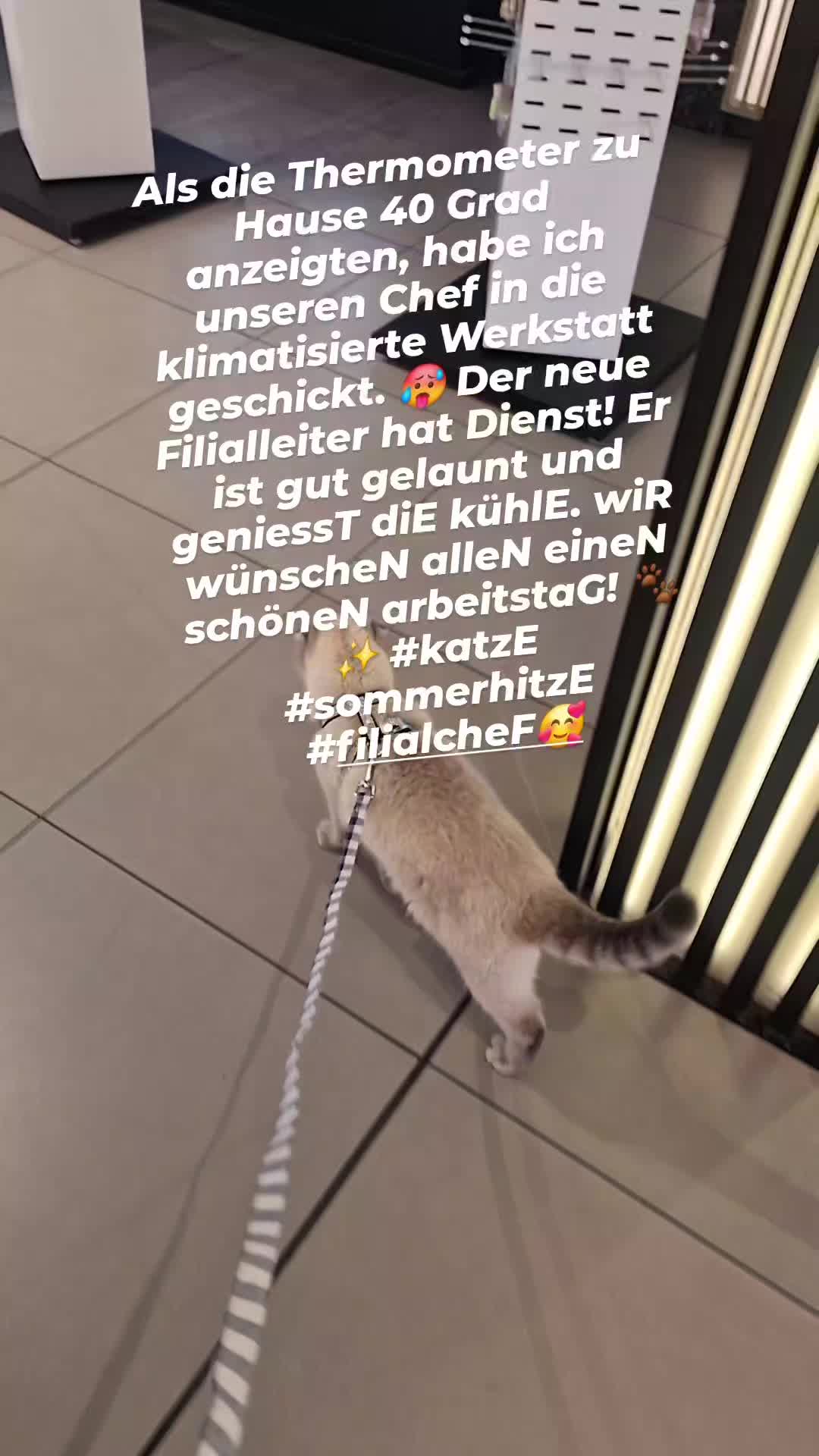@loris Parf&uuml;m