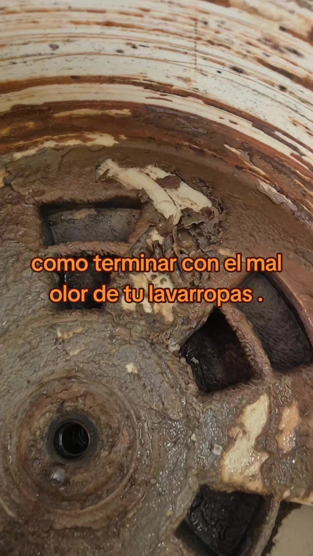 @Javierf.j (tec de lavarropas)