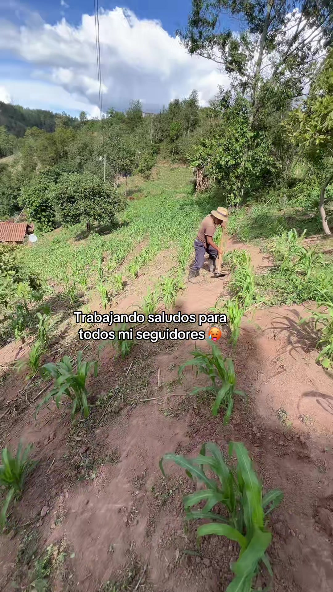 @🤍El chino divertido 502🤍🇬🇹