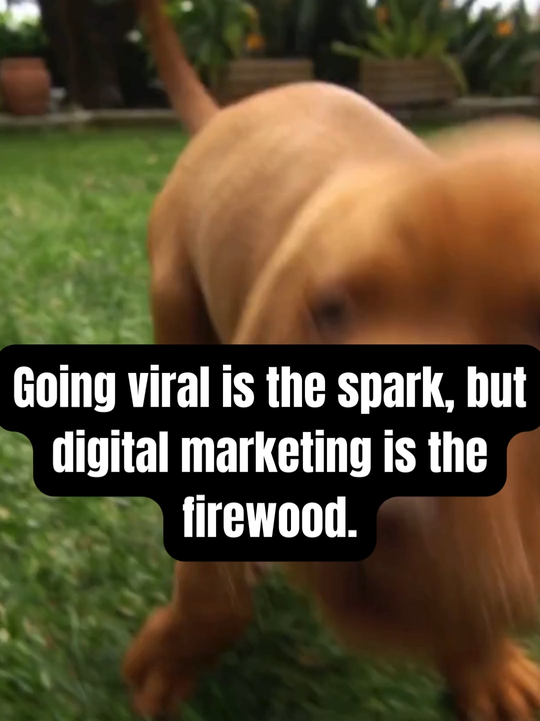 @Digital Marketing Pros ✨