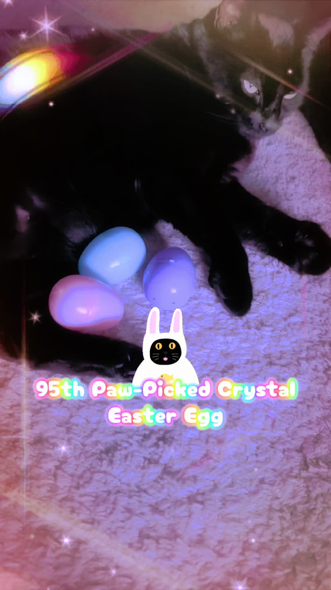 @PURRpleJewelry