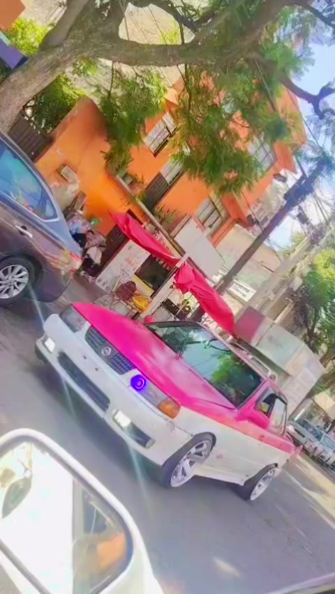 @🍍gansito🍒 paradise🌴