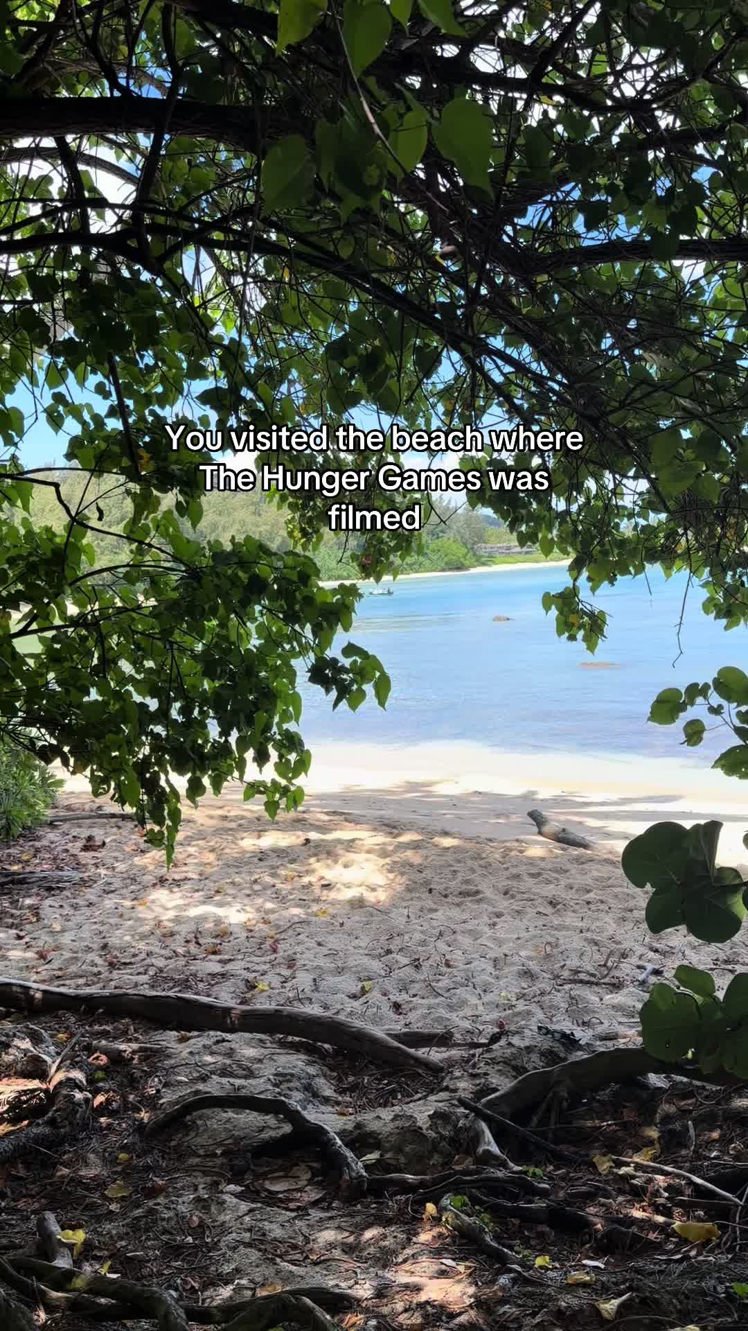 @Beeboo