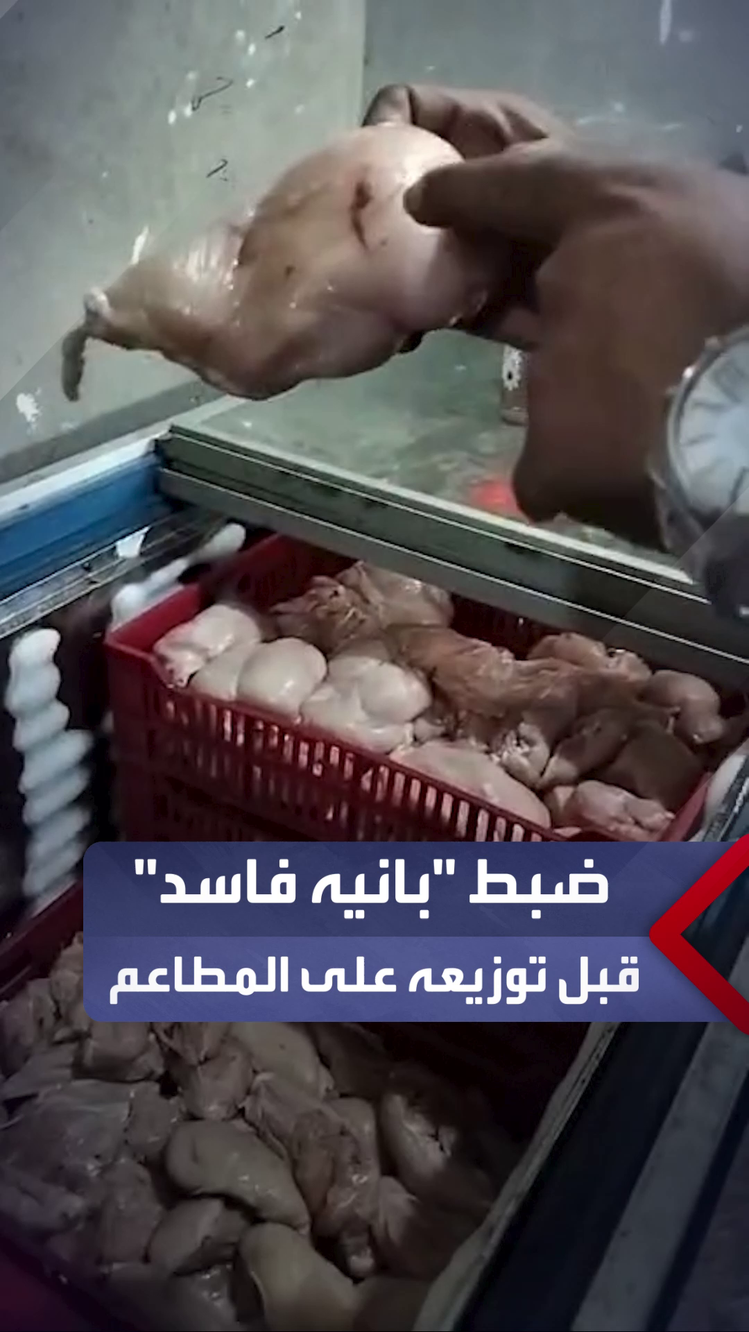 @العربية مصر - AlArabiya Egypt