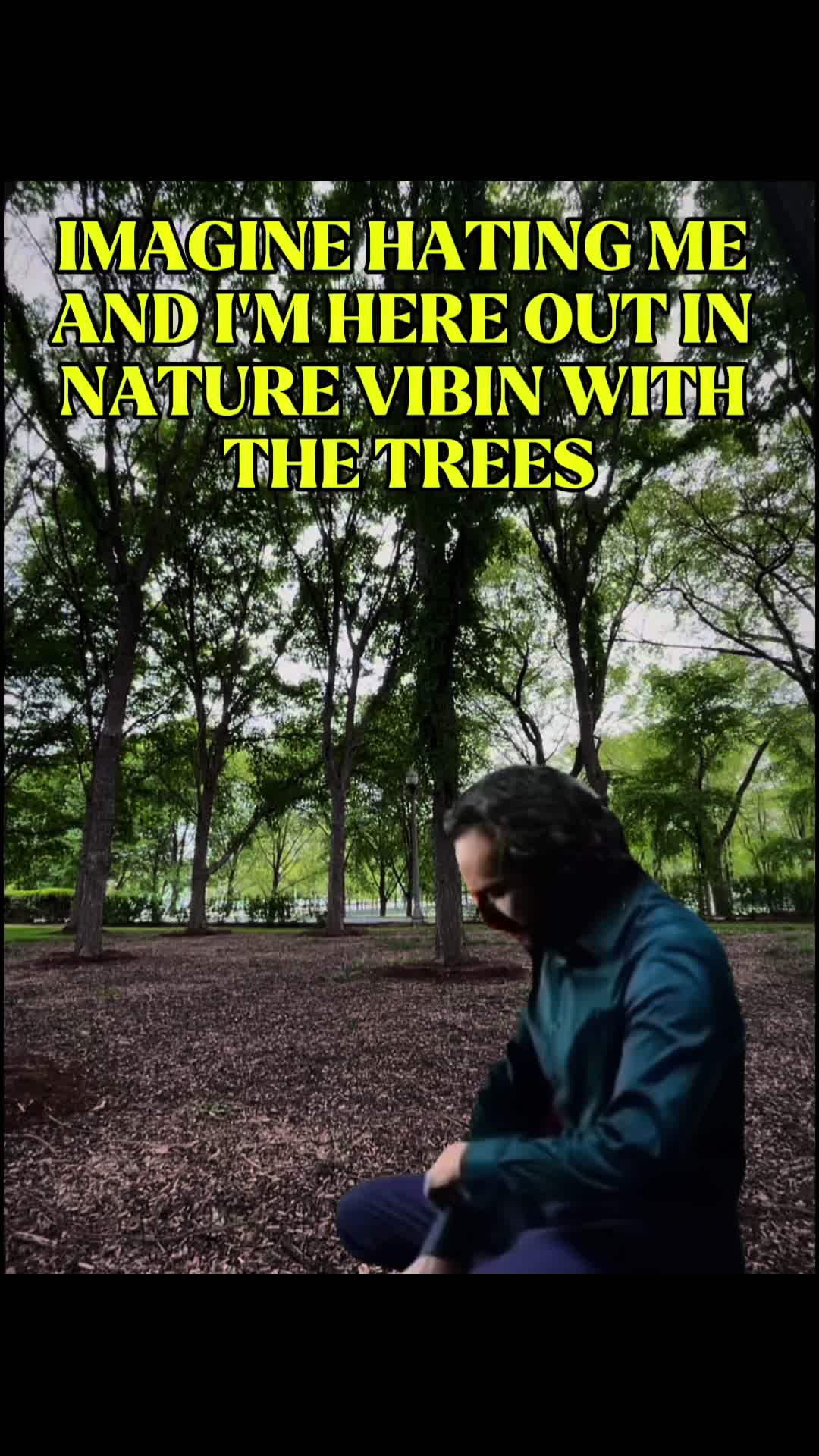 @chicagoviews312