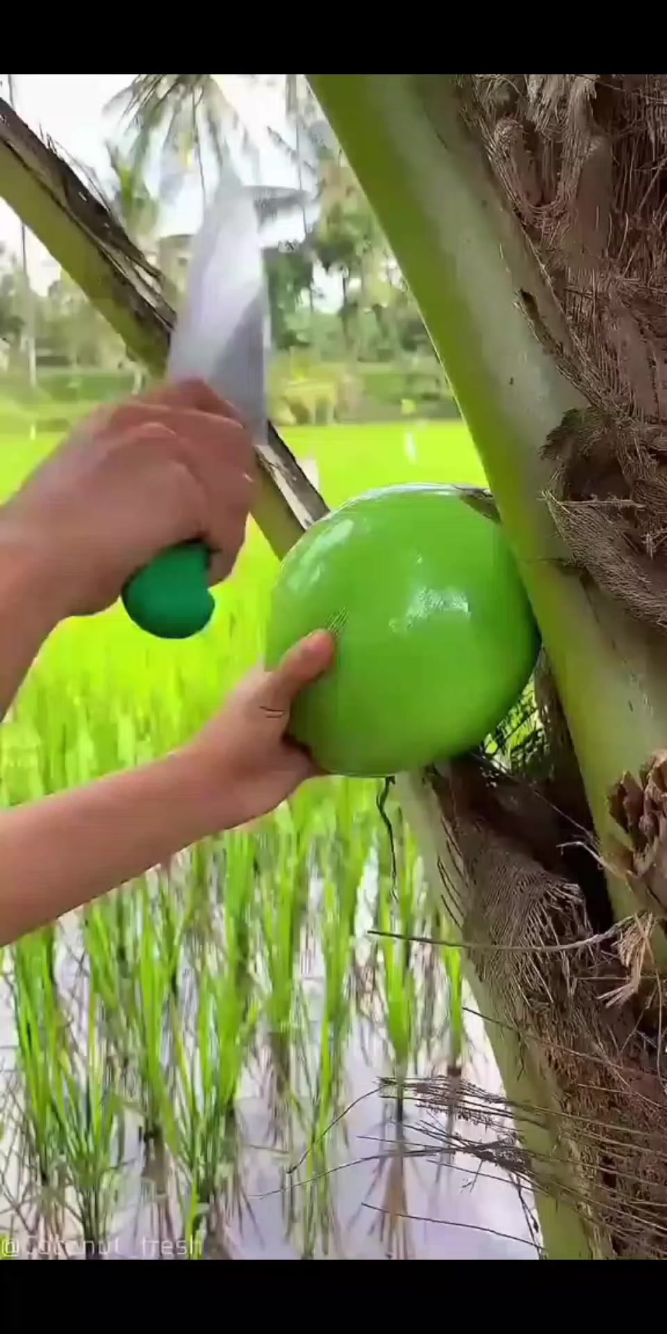 @☁️মেঘলা আকাশ☁️