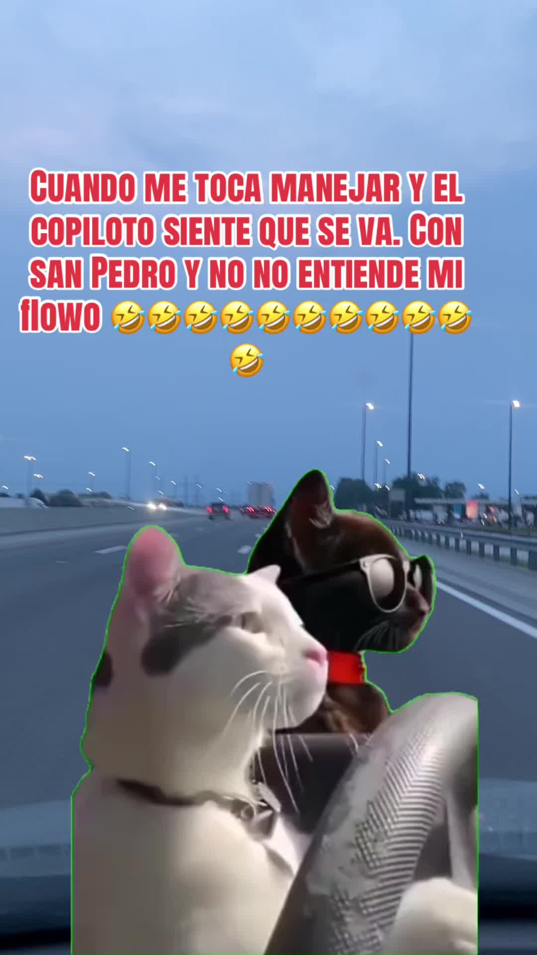 @Mónica Guzman