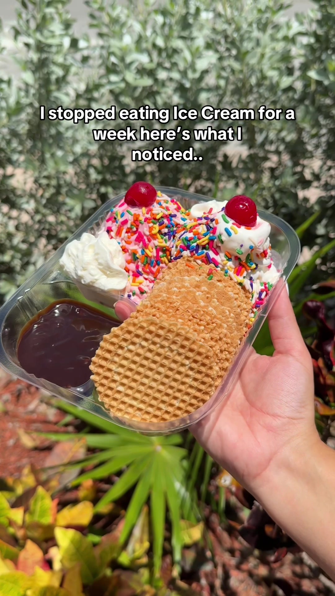 @Charlie&rsquo;s Ice Cream