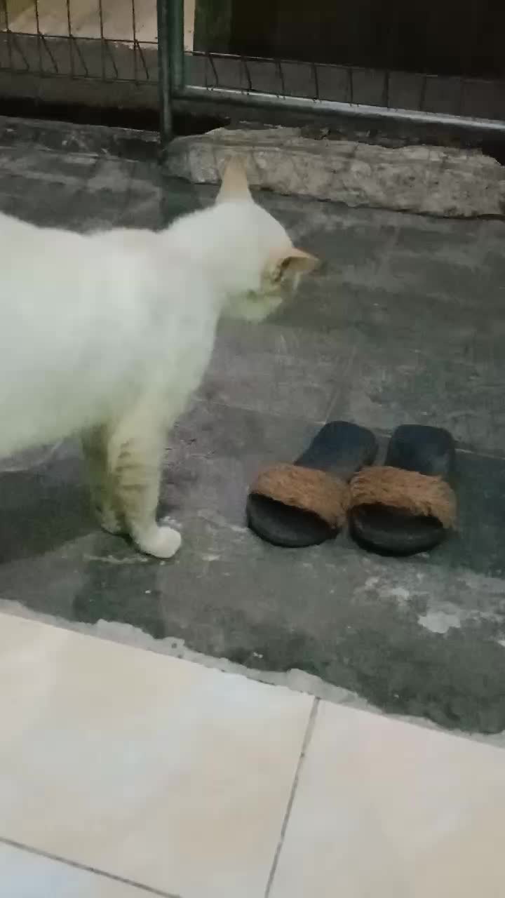 @𝑸𝒖𝒆𝒆𝒏𝒂 𝑹𝒊𝒏𝒂