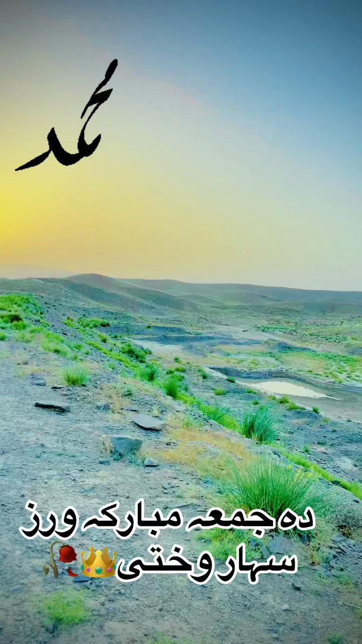@(سعیدباچا🪽🧿