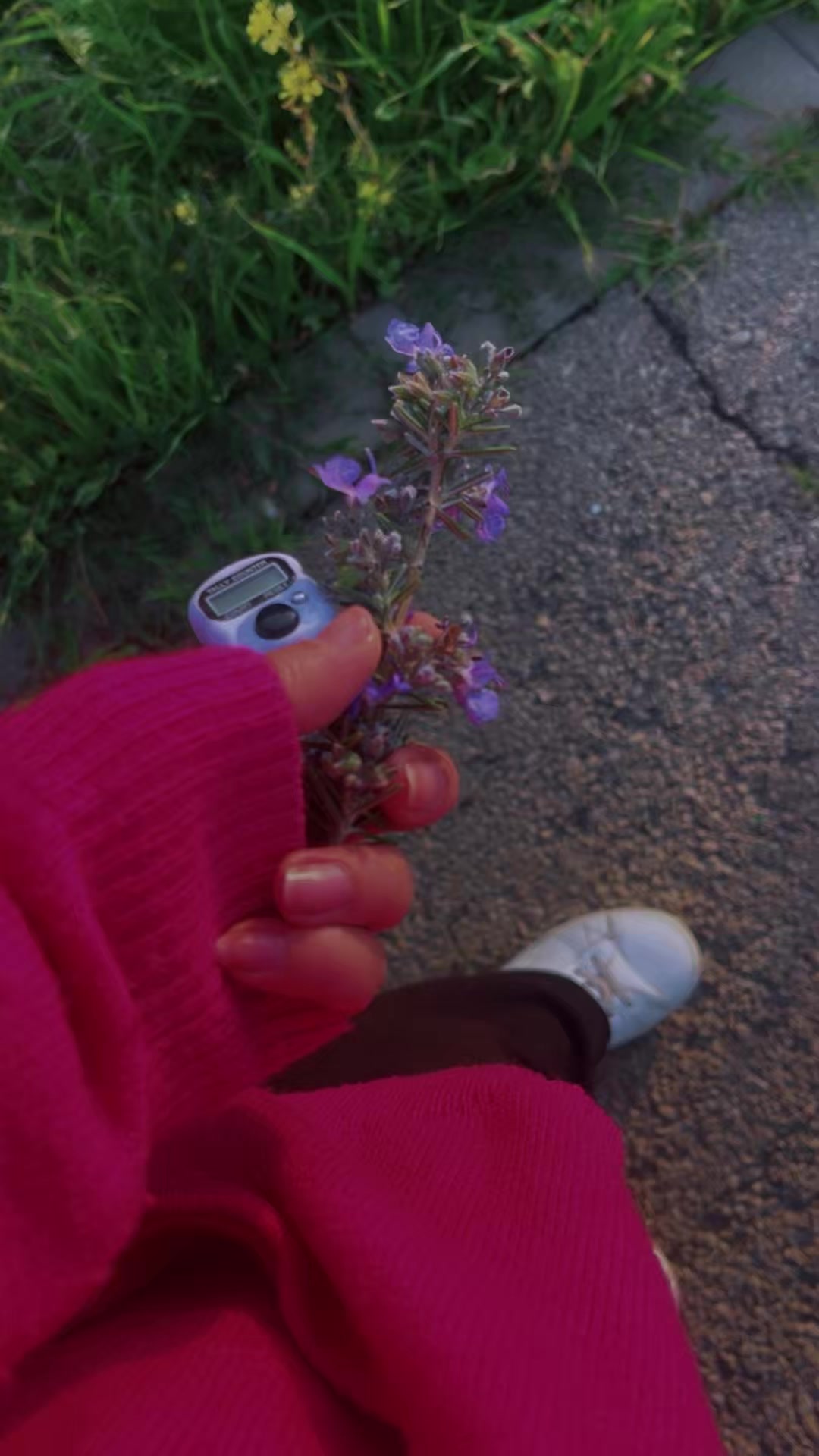@Roseangel