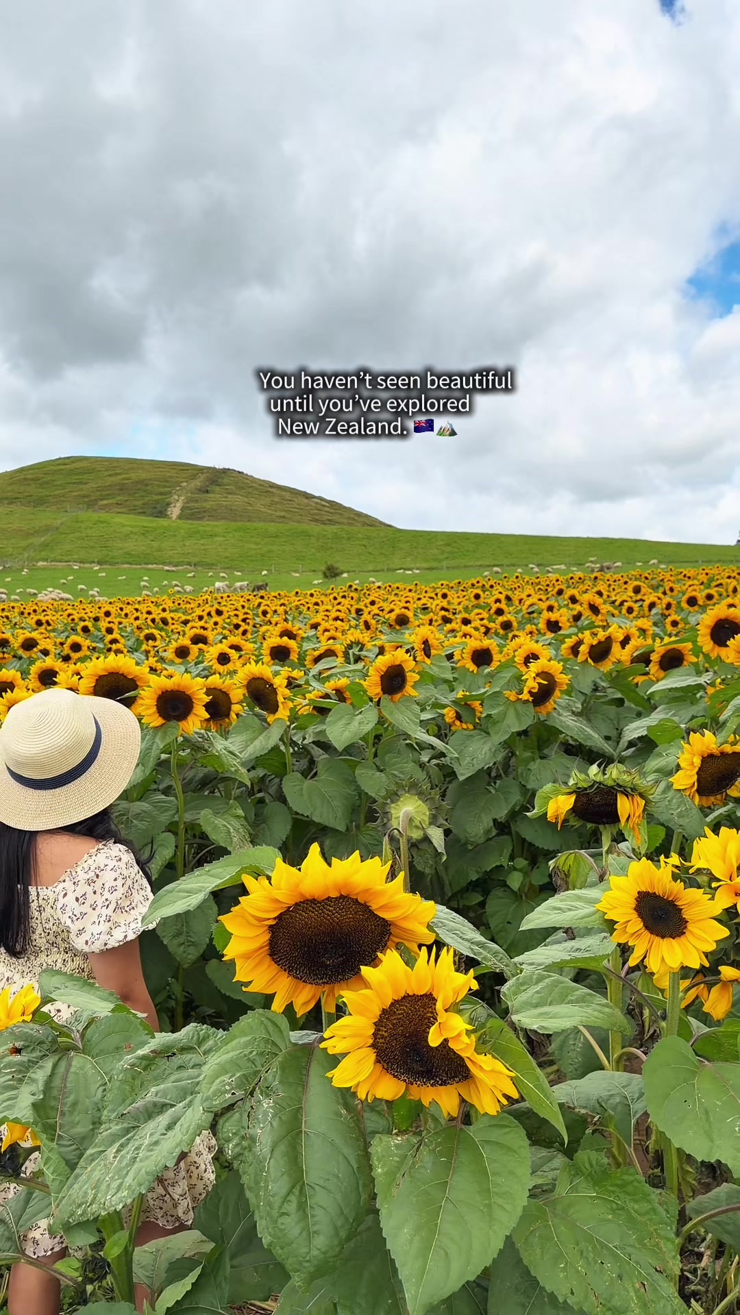 @Pinoy Traveller in New Zealand