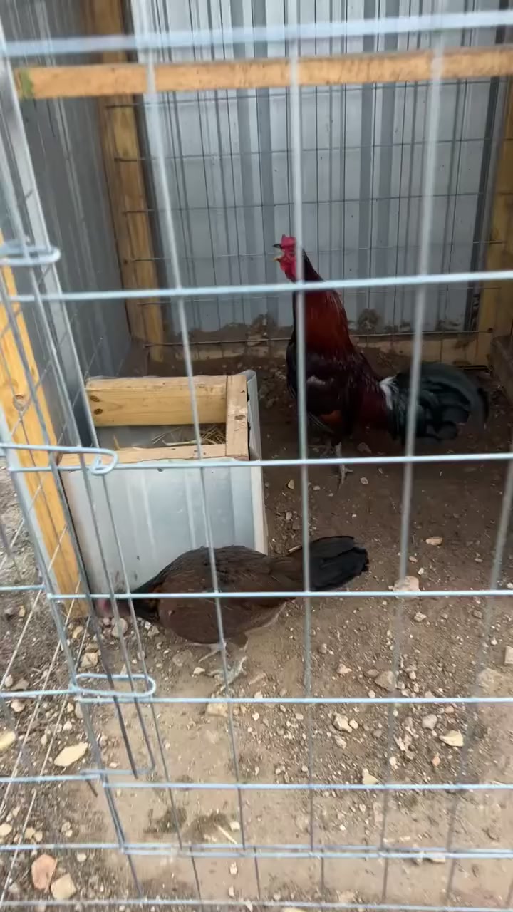 @G3 Farm & Fowl Supplies