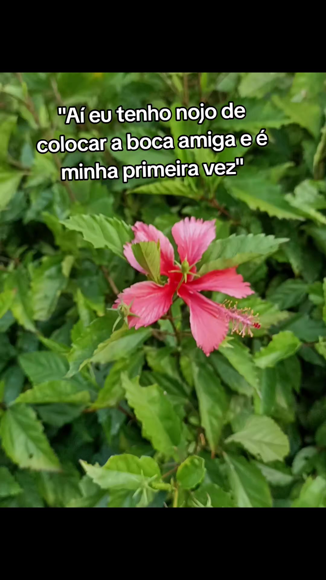 @Laís