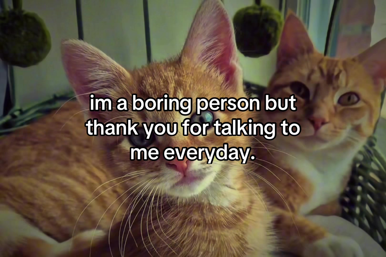 @sxalenz