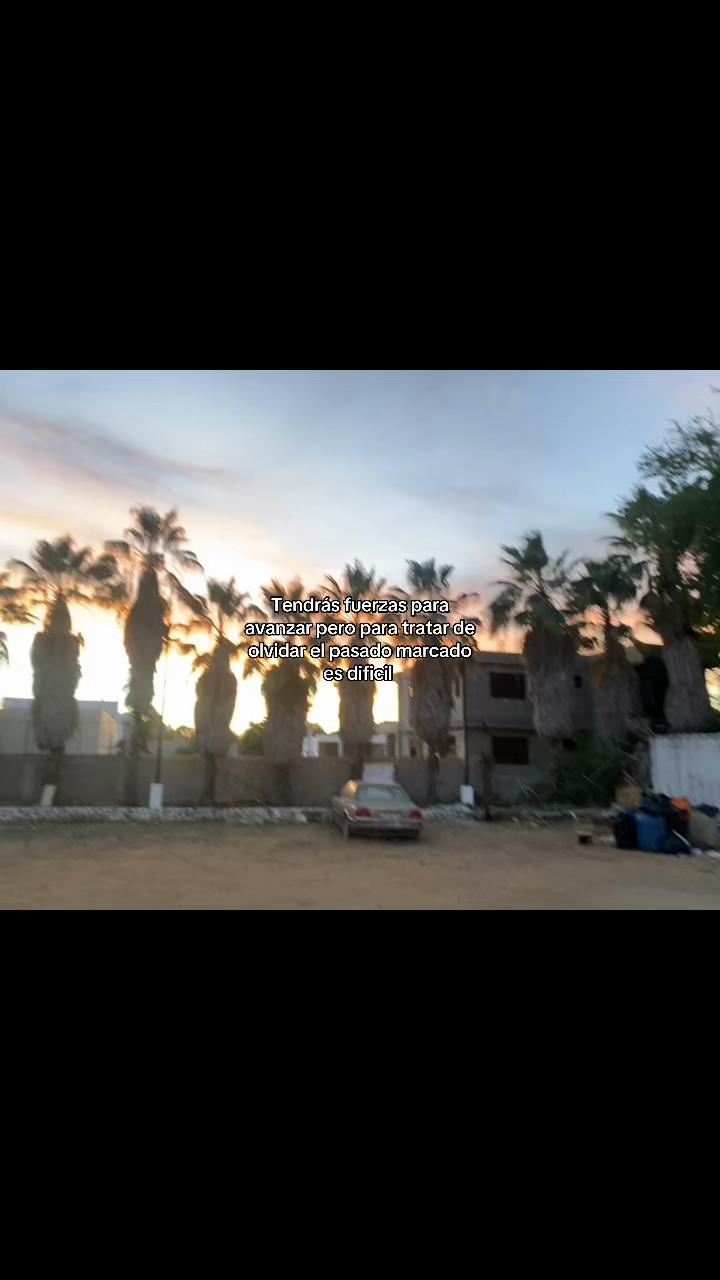 @🤎