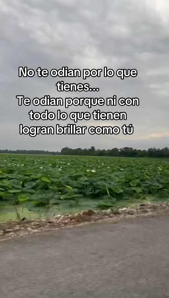 @Edith