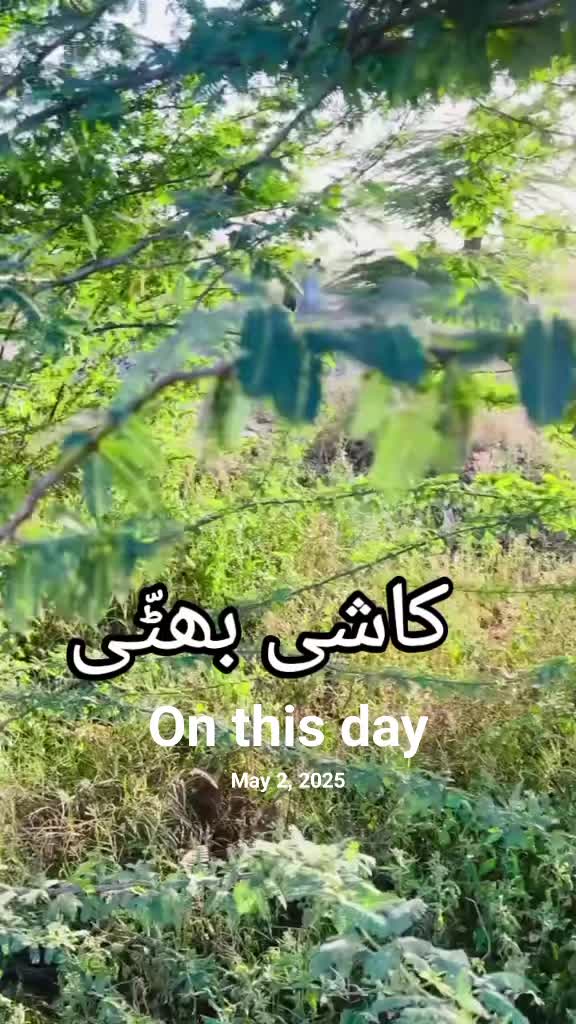 @BHATTI ✌️