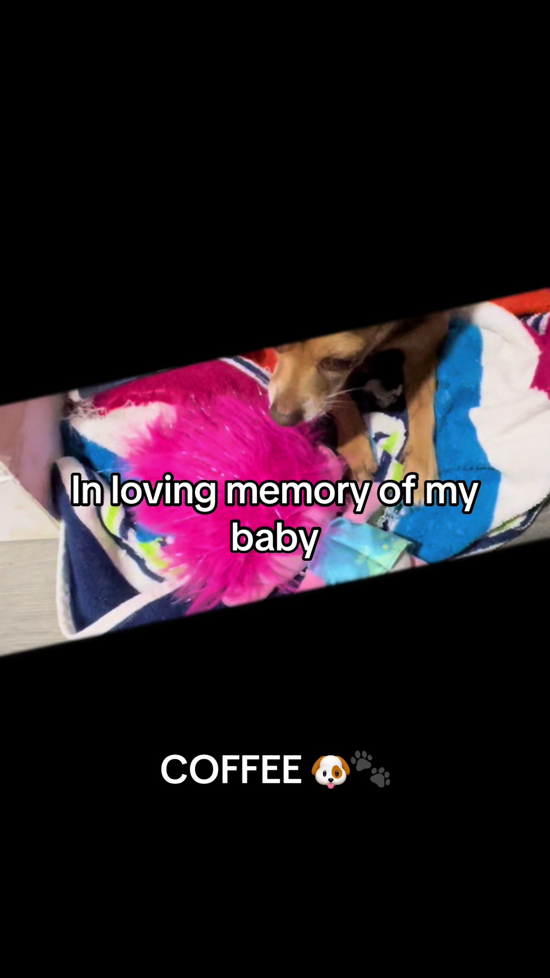 @LilaN