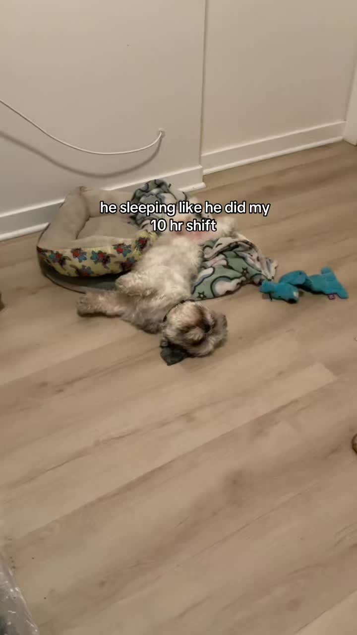 @ShawnteAmourr