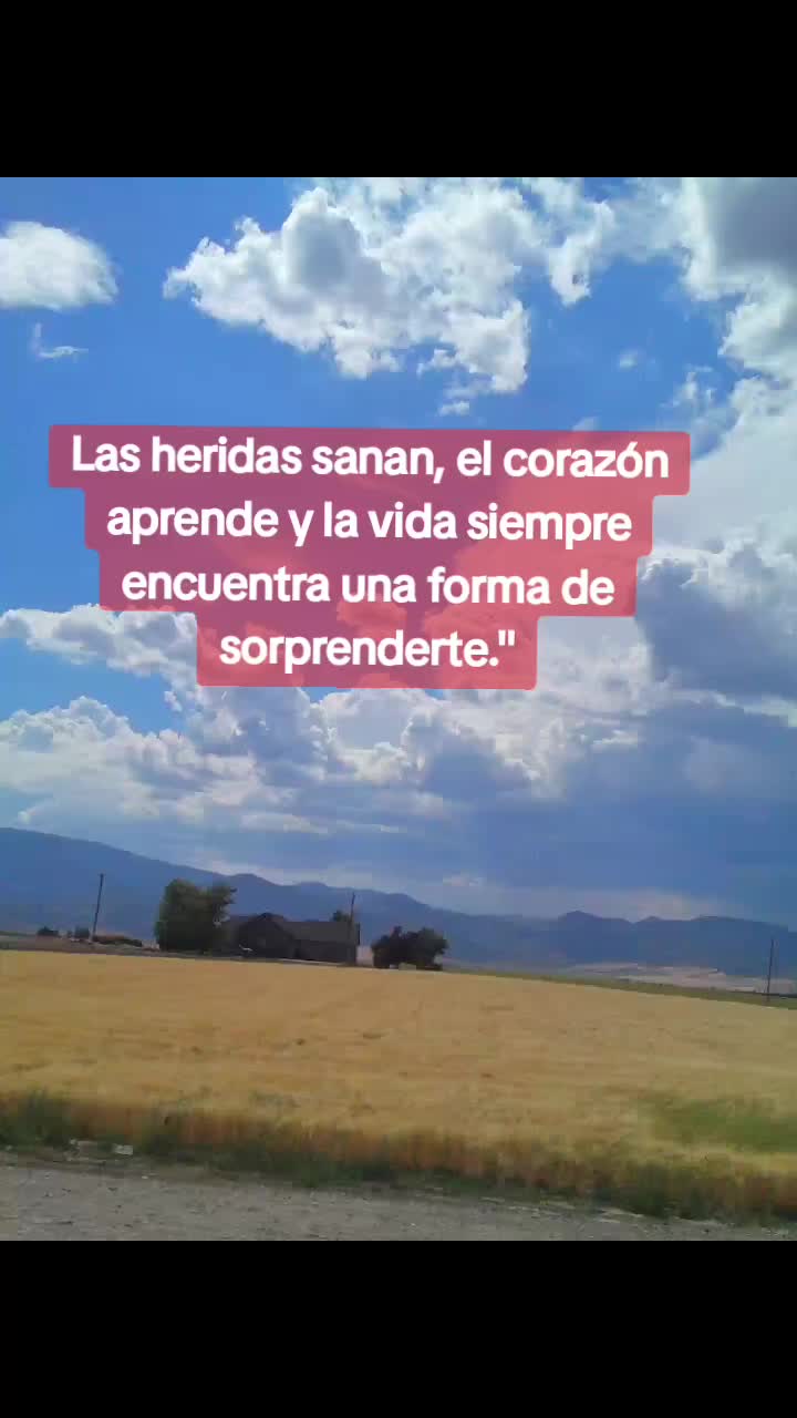 @EL_VALI