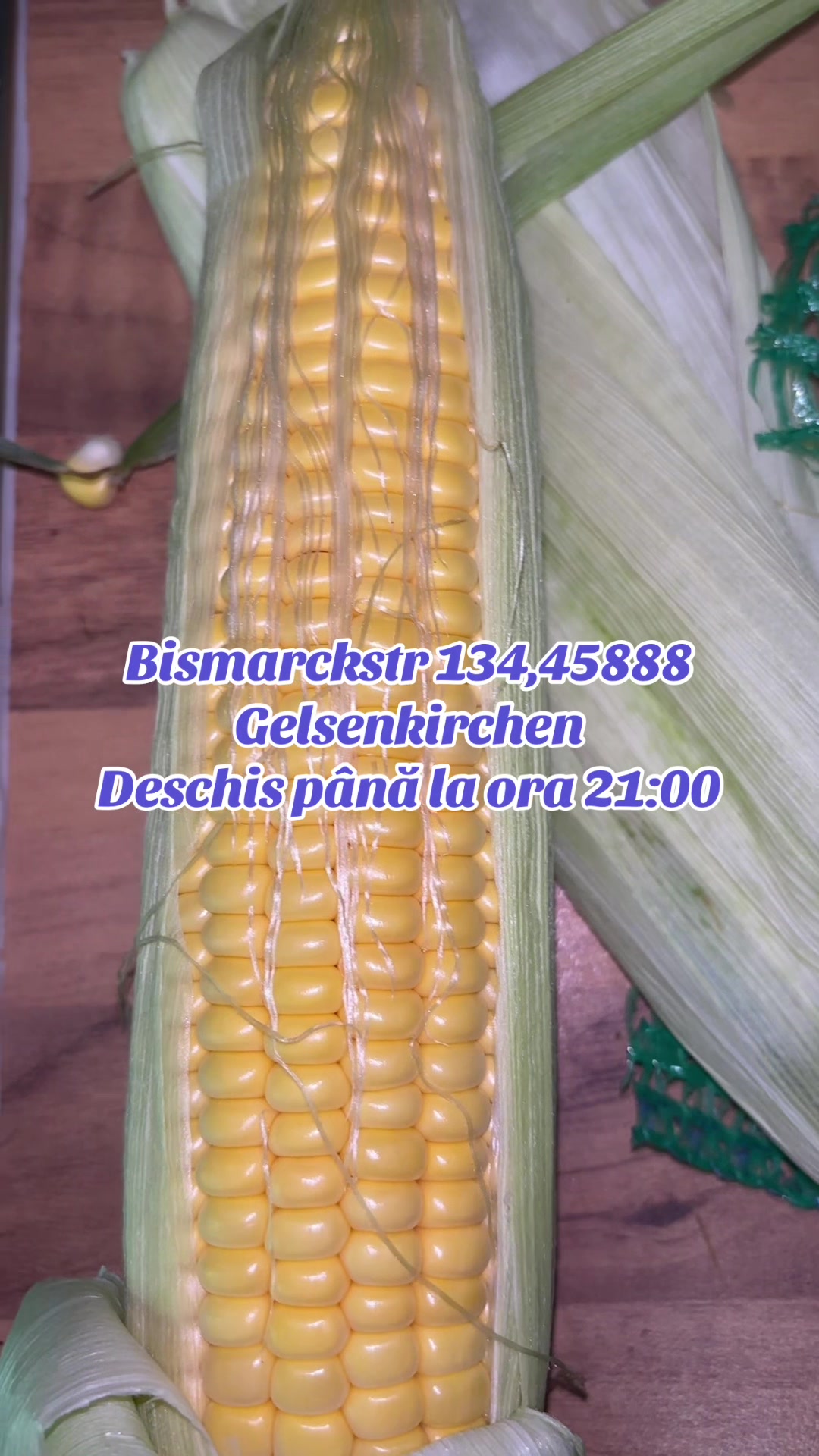 @Gustul De Acasă Gelsenkirchen