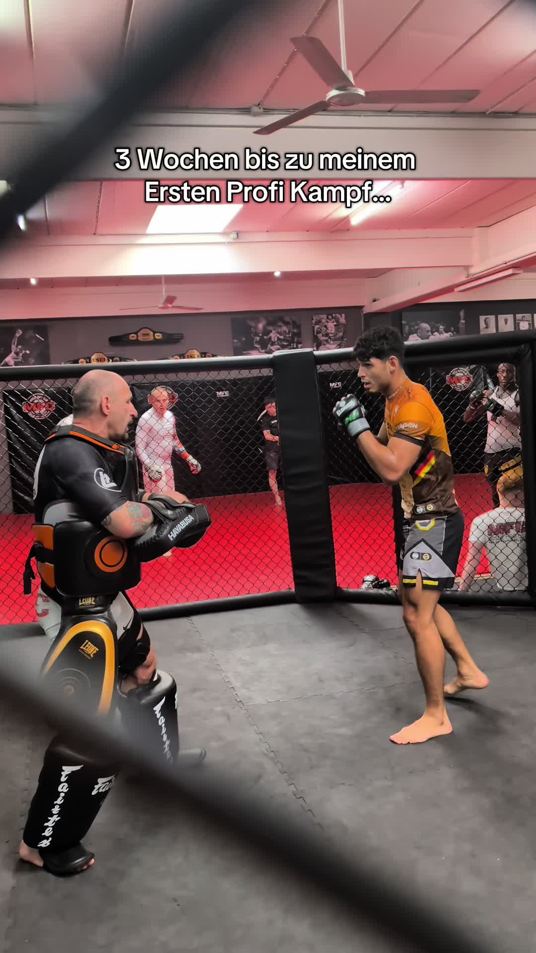 @marat.mma