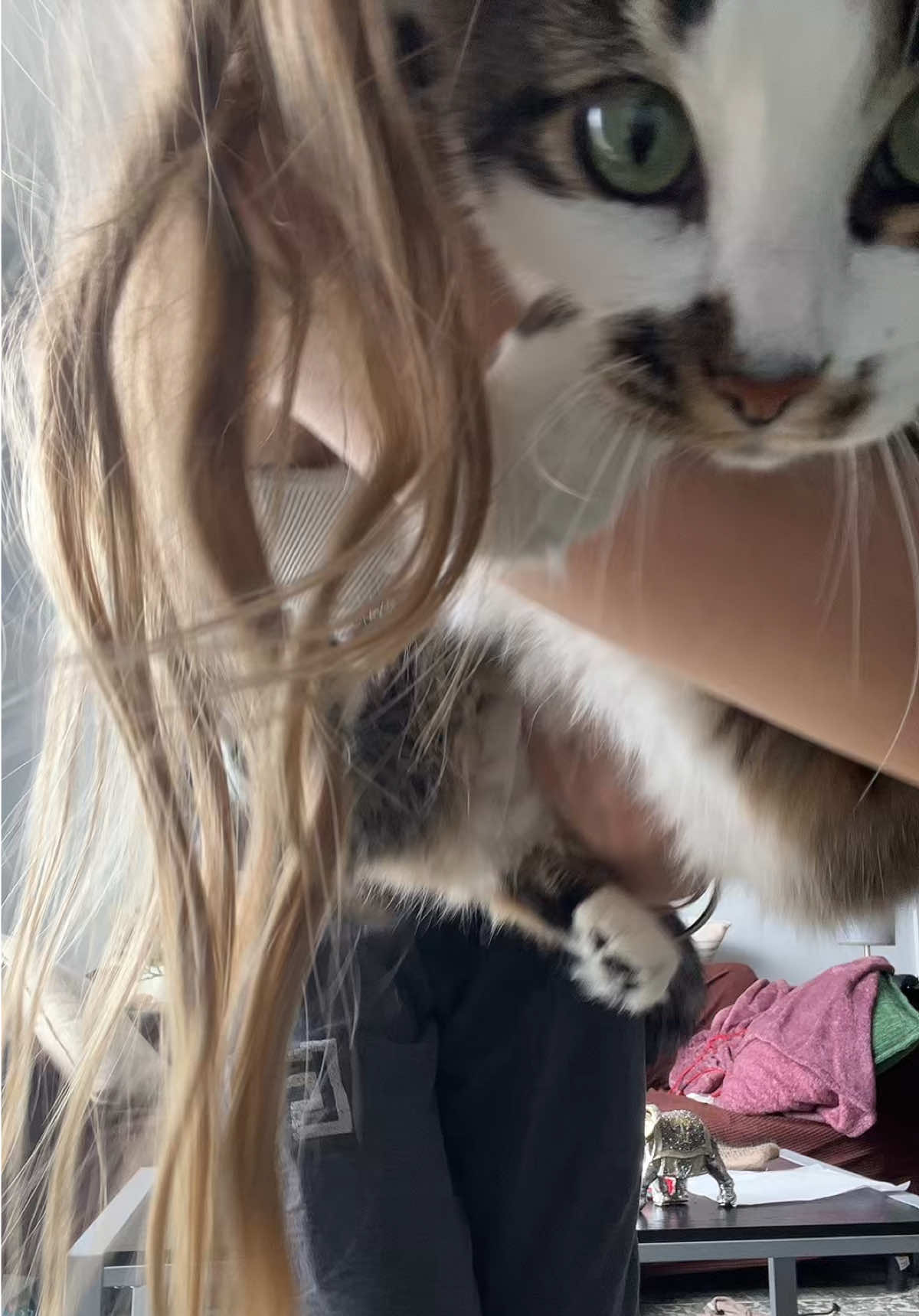 @not kat