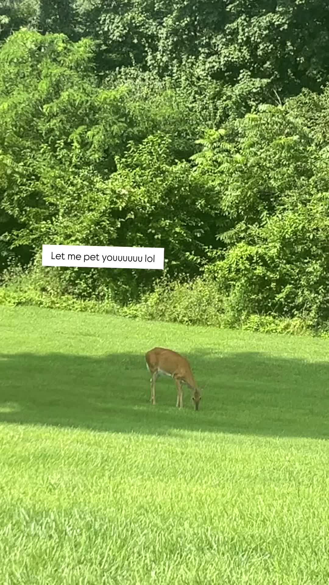 @Raisingflamingos