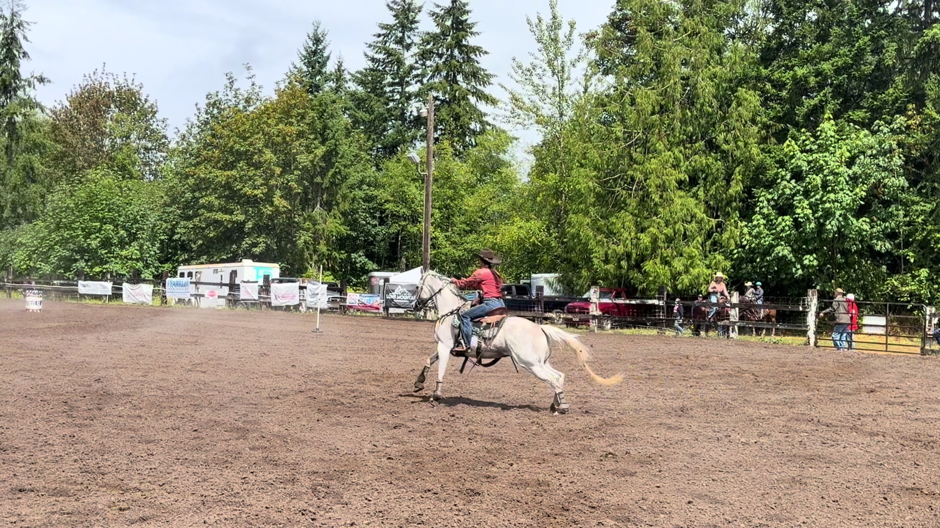 @TF Performance Horses