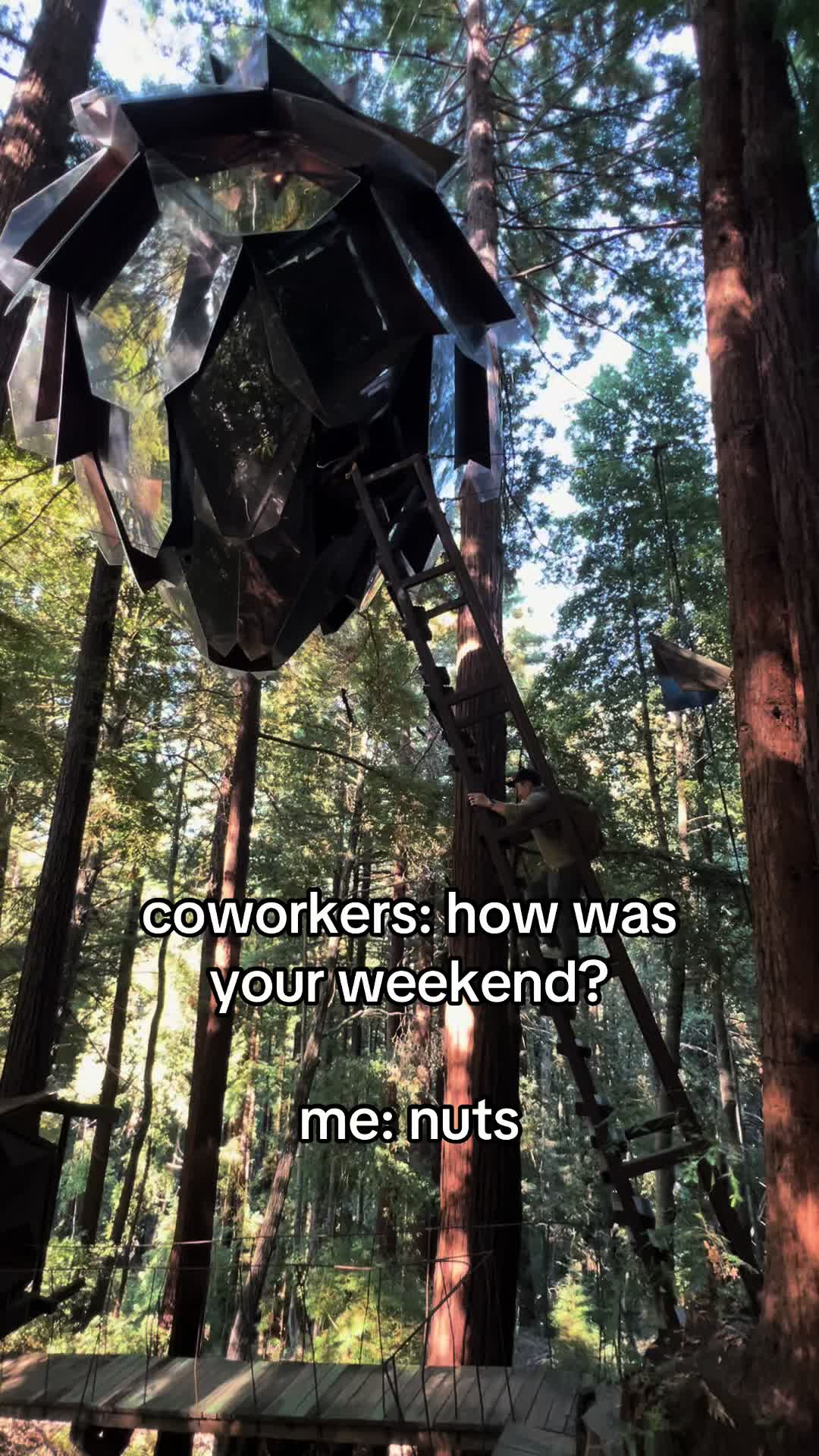 @nicolebiostats