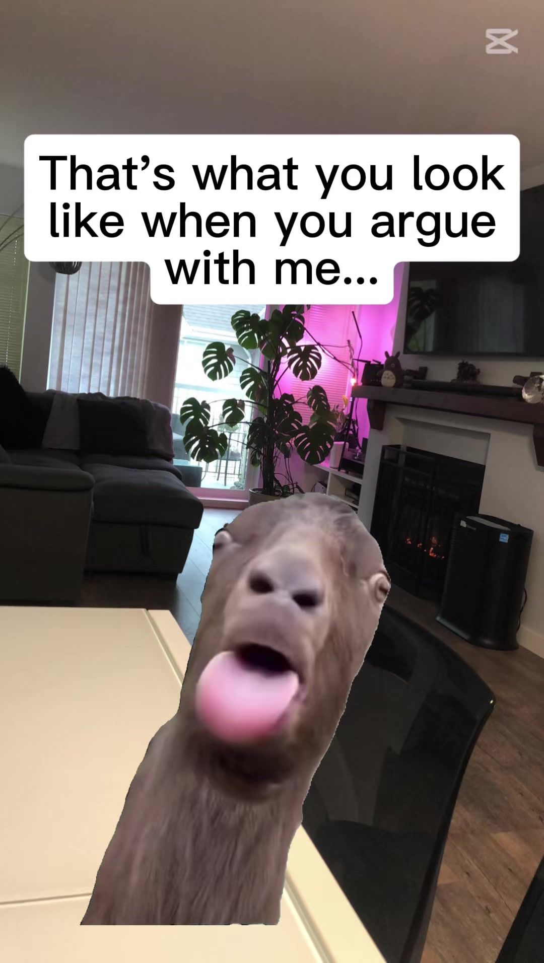 @Shannelle