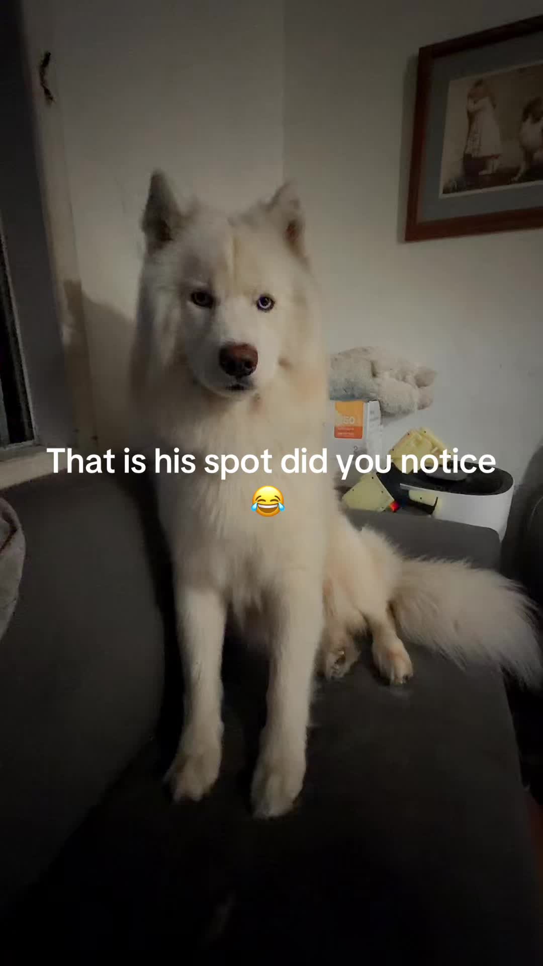 @Mari